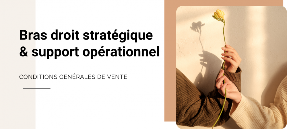 Votre Assistante Virtuelle (2)